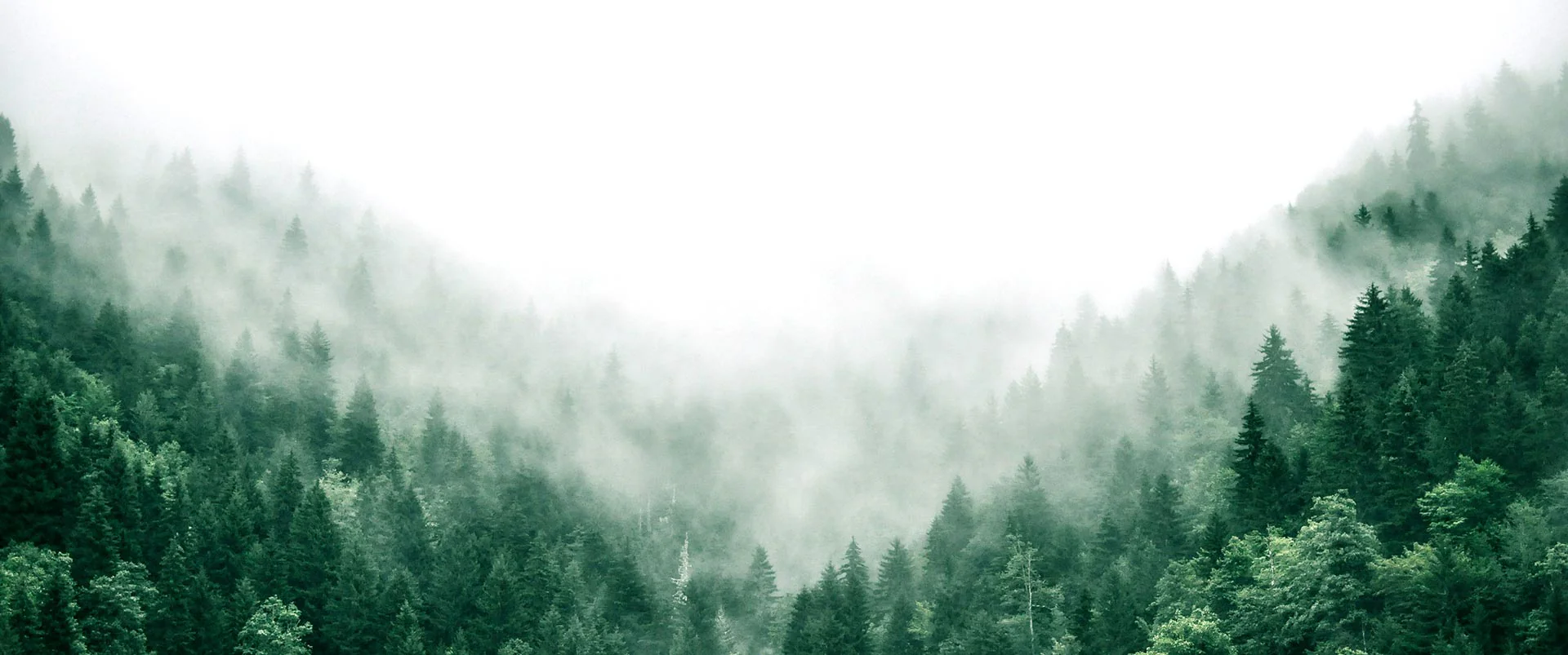 Vivre mieux, tout simplement